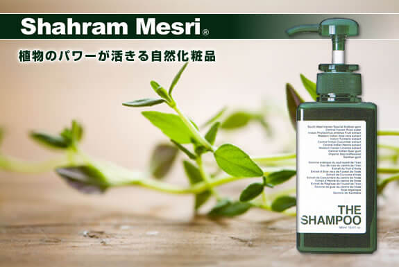 Shahram Mesri